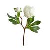 Real Touch Peony Bouquet 1 Bloom 1 Bud Artificial Peony Flower Faux Silk Floral Arrangement for Home Vase Wedding Centerpiece Party Decor