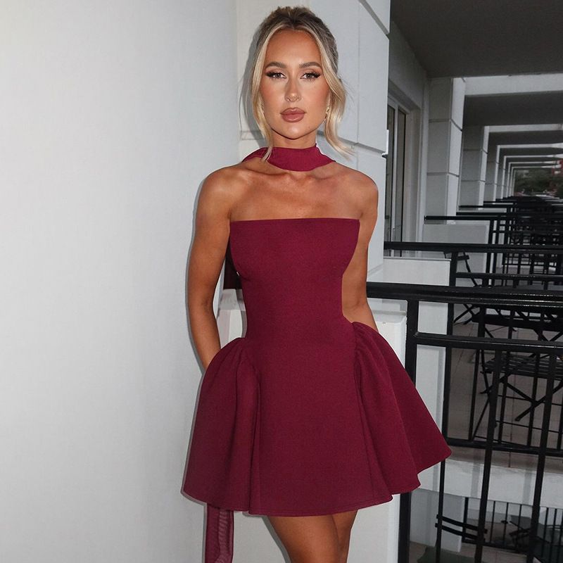 

Amazon Women clothes 2024 Winter New Product Fashion Sexy Back Zip-up Tube Top Short Dress Foreign Trade Wine red L