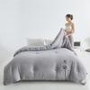 LISM Soy Fiber All-Season Two-in-One Comforter