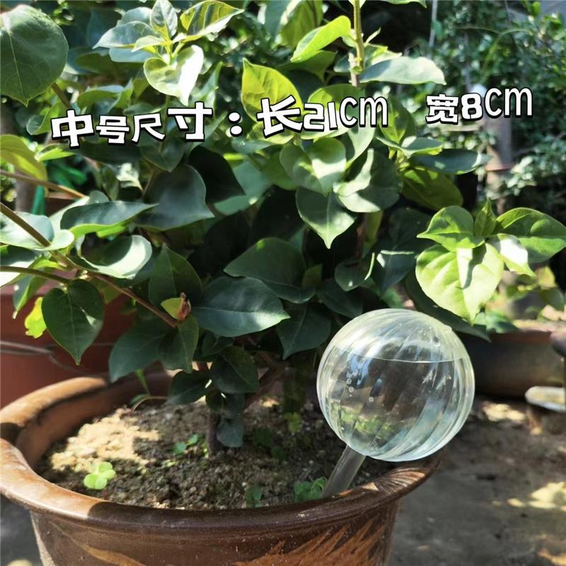 Automatic Plant Watering Bulbs Self Watering Globe Balls Water Device Drip Irrigation System for Garden Flower Plants Mom&Pea YQ