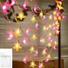 1.5M/3M LED Star Moon Colorful Light String Starry Sky Living Room Outdoor Courtyard Camping Trunk Decoration Atmosphere Light