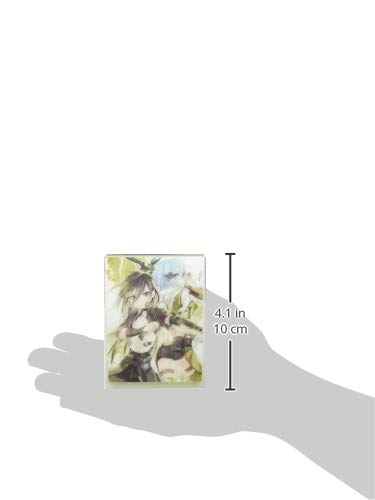 Bushiroad Deck Holder Collection V2 Vol.956 Dengeki Bunko Sword Art Online Phantom Bullet "Kirito & Sinon