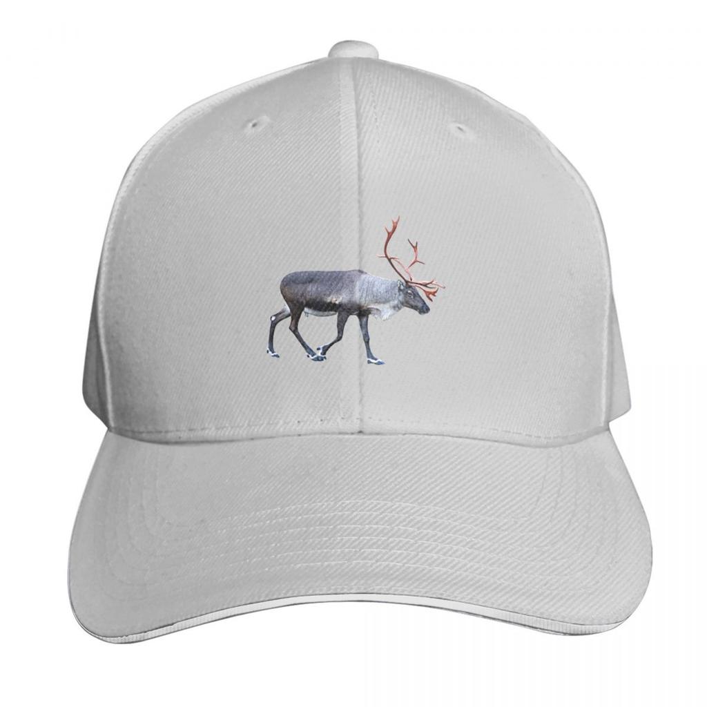 Santa Claus Reindeer Baseball Cap Beach Sun Caps Black Mountaineering Unisexs Baseball Womens
