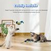 1Pc Cat Toys Hanging Bird, Retractable Cat Teaser Toy, Vivid Chirping, Interactive Catnip Toys for Indoor Cats Kitten Play Chase Exercise