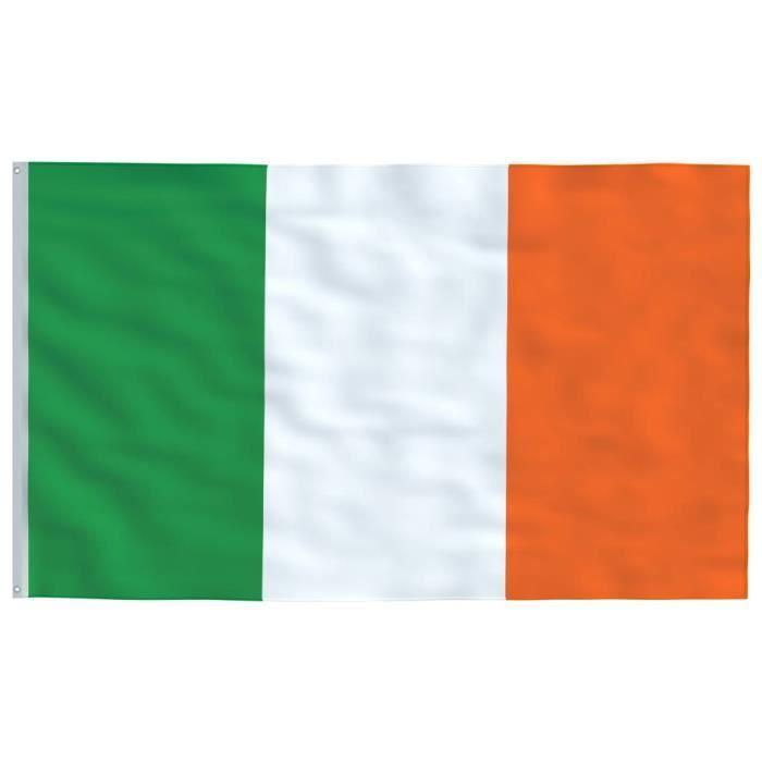 VidaXL Drapeau Irlande 90x150 cm