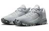 Nike Zoom Freak 4 'Gravé dans la pierre' DJ6149-004