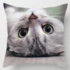 Cute Kitty Series Decorative Pillowcase Office Decoration Living Room Bedroom Children's Room Home Decoration Pillowcase