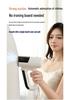 Portable Handheld Garment Steamer and Electric Iron
