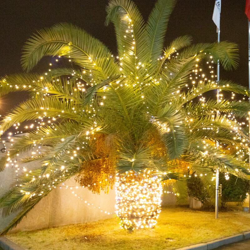 Begong LED Solar Fairy String Lights, 8 Modes, Warm White