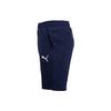 Puma Team Goal 23 Casual Shorts Men's Blue 656981-06