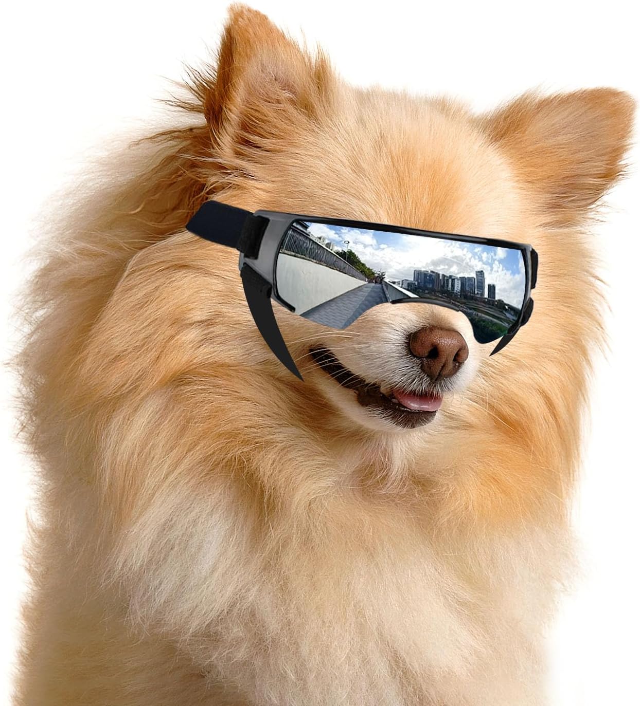 

ATUBAN Dog Goggles Small Breed,Puppy Sunglasses UV Protection,Outdoor Ash Prevention,Driving Dog Eye Protection,Antifog Glasses