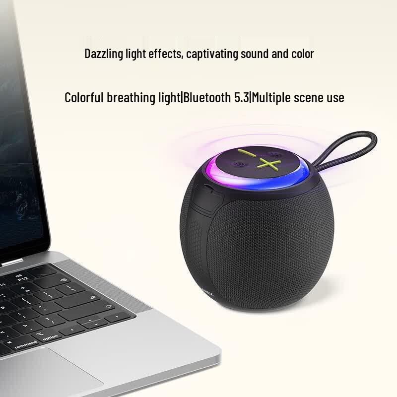 Ruisi LY10 Portable HiFi Bluetooth Speaker (CN version)