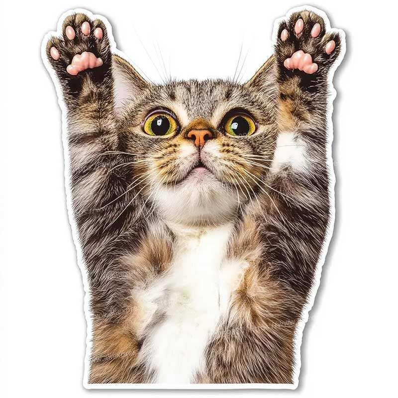 Funny Cat Animal Car Sticker Cartoon Waterproof Styling Automobiles Motorcycle Exterior Accessories Vinyl Decals Y211