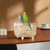 Transparent Parrot Activity Center Wide Mouth Parrot Claw Platform Parrot Toilet  Relieve Boredom
