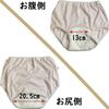 Trust Map Incontinence 50cc In Perfect for Travel and for Moderate Includes Urine Odor Women's Briefs, 2-Piece Set, [Made Japan, Driving,