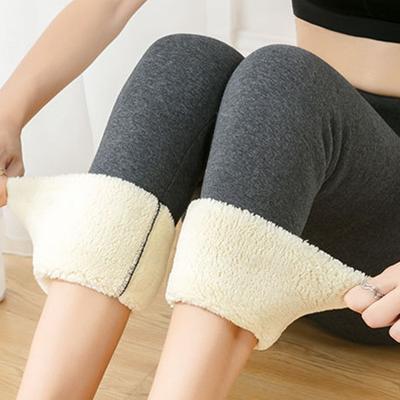 Winter Women Legging Velvet Keep Warm Hight Waist Legging Casual Fleece Lined Stretchy Comfortable Plus Size Female Thermal Pant