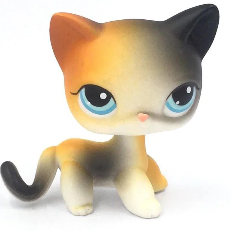 Rare Littlest Pet Shop Lps Toy Toy Mini Stands Short Hair Kitten Old Figures Collection Al Bobble Head Toy