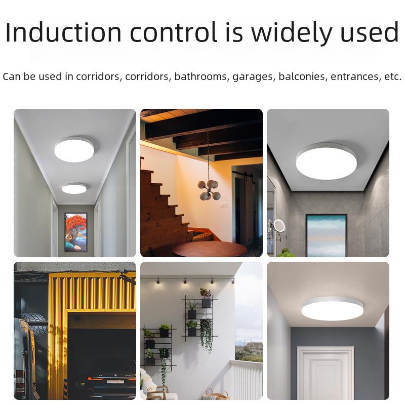 LED Deckenleuchte mit Sprachsteuerung & Bewegungssensor für Flure, Treppenhäuser, Gänge und Eingangsbereiche