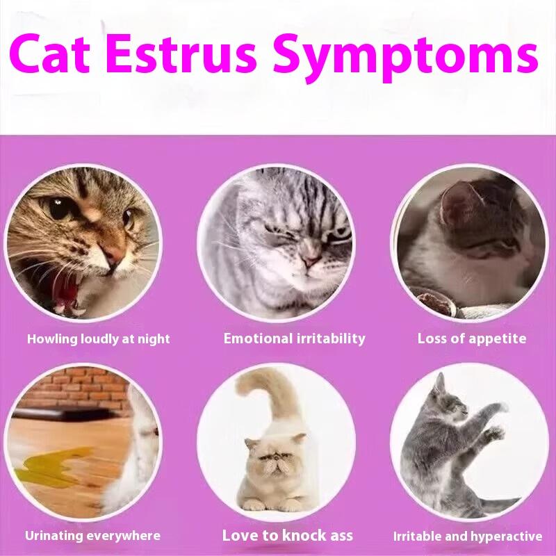 50ML Cat Heat Suppressant - For Male & Female Cats: Stops Excessive Meowing, Spraying, and Heat-Related Behaviors