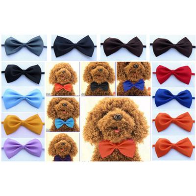 Adorabile giocattolo per animali domestici, cravatta a farfalla, collare, abbigliamento