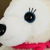 [USED] Classic Cute Bear Teddy Bear, Large Size, Stuffed Toy, White