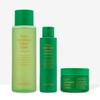 Cica Artemisia Repair Skincare Set (Toner 500ml + Essence 160ml + Cream 60ml)