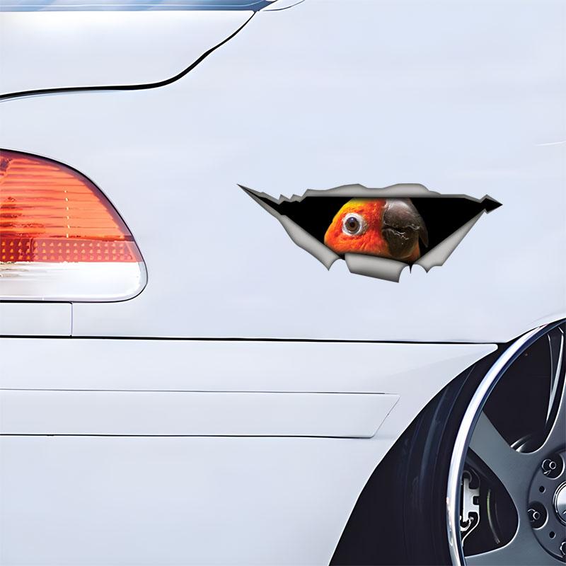 Güneş Konuru Papağanı Araba Çıkartmaları, Su Geçirmez Vinil Çıkartmalar, Araba Camları, Araba Tamponu, Araba Gövdesi için Dekoratif Aksesuarlar