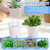 10 Pcs Self Watering Planter Lazy Hydroponic Flower Pot Plastic Translucent Self-absorbent Flower Pot Desktop Decoration