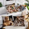 Contemporary Cat & Smartphone Print Decorative Pillow Covers Zipper Closure Machine Washable Sofa Living Room Home Decor