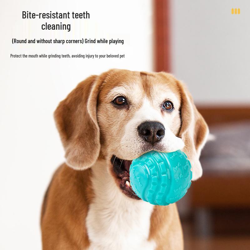 Sounding Dog Toy Ball with Silicone Protrusions - Decompression Biting Pet Toy
