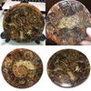 Exquisite 1pc Natural Ammonite Fossil Quartz Crystal Disk Shell Plate Conch Stand