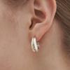 Cotoit Double Shell Earrings M