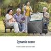 SAST SW-867T All-in-One Home KTV and Outdoor Karaoke System (CN Version)
