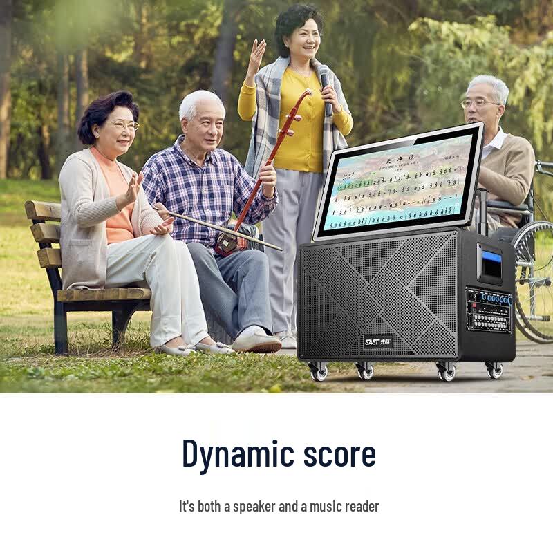 SAST SW-867T All-in-One Home KTV and Outdoor Karaoke System (CN Version)