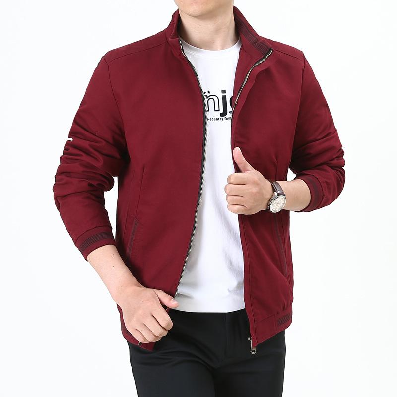 New Spring and Autumn Thin Casual Jacket Men's Stand-up Collar Medium Handsome Top Dad Wear