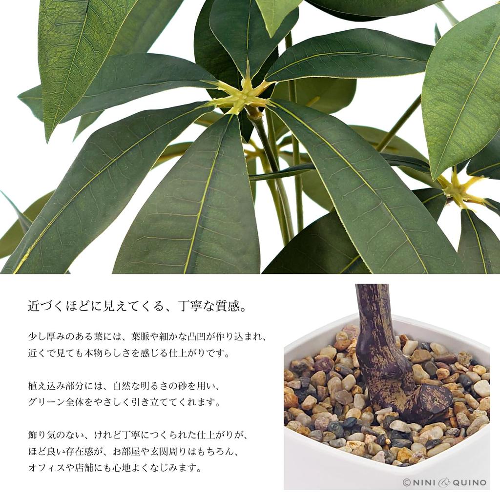 Ninian and Kino Faux Green Pachira In a 35cm Ceramic Artificial Plant with a Realistic No Maintenance Will Not Indoor Decorative Perfect for Living