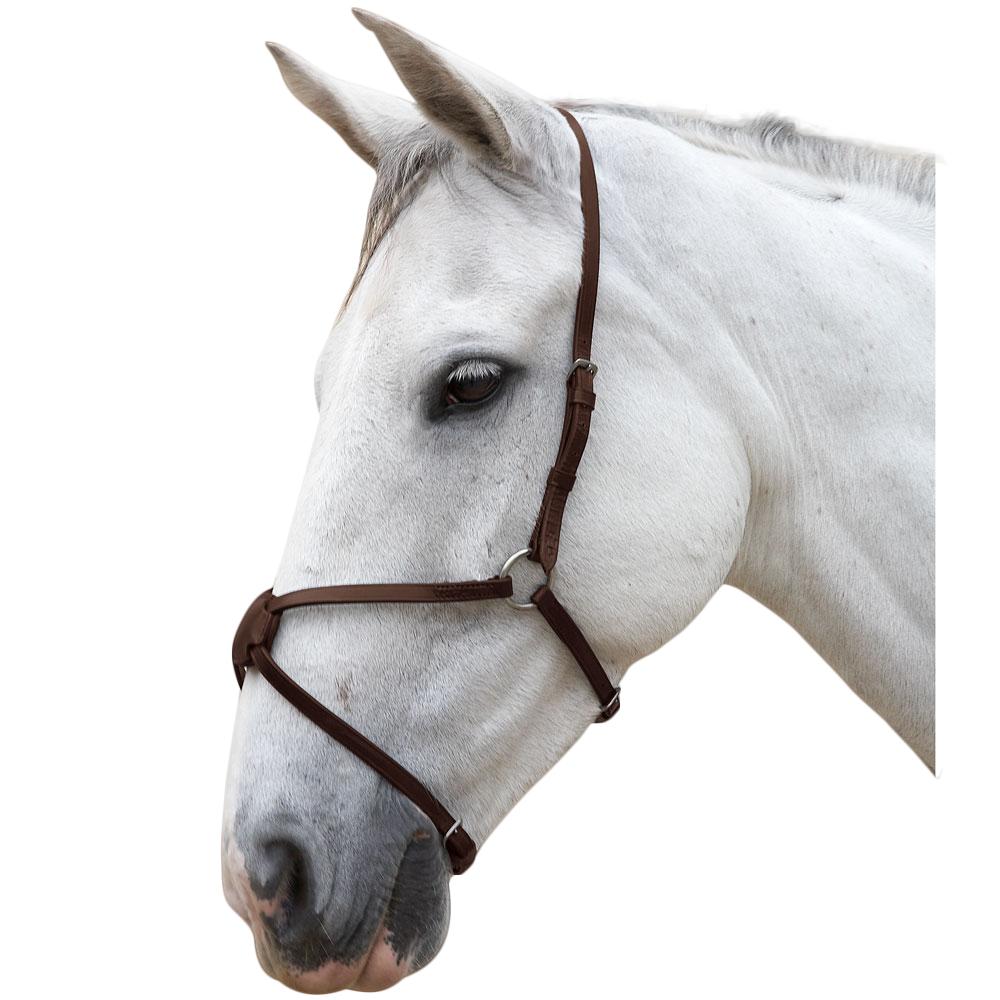 Hy Leather Mexican Grackle Nose Band