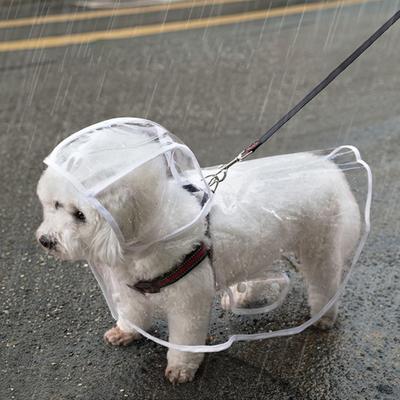 Jachetă de ploaie transparentă pentru câini de companie, cu glugă, impermeabilă, la modă, ușoară, pentru animale de companie, haină de ploaie pentru câini mici și medii, pisici