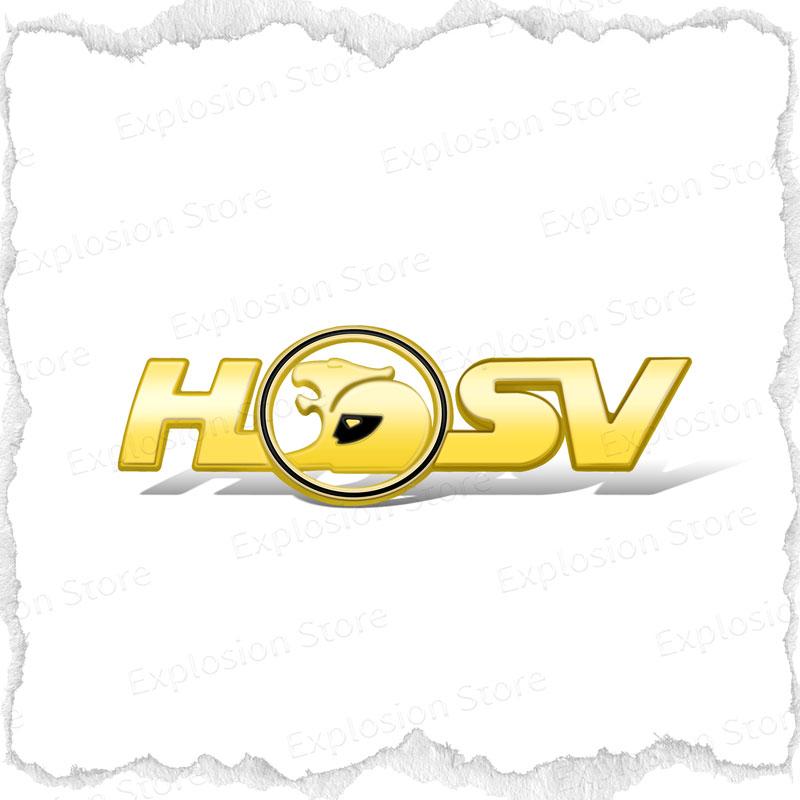 New 3D Metal Logo Emblem Decor Car Fender Side Sticker For Holden HSV Astra Commodore VT VX VU VY HSV Cruze Rodeo Astra