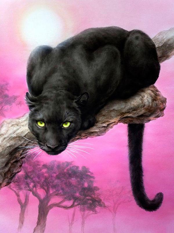 40x50cm Coloring By Number Elf Girl Cartoon Drawing On Canvas Hand Painted Decoration Picture Tiger DIY Christmas Gift