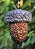 Bird Feeder - Esschert Design - Acorn - Polyresin - Metal - Outdoor