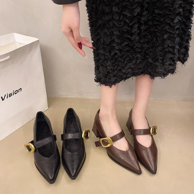Thick Heel Temperament Pointed Mary Jane Shoes Women's Autumn and Winter New Models with High Heels Are Not Tired