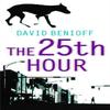 The 25th Hour by David Benioff Paperback Book 9780340822296