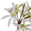 Hill Interiors The Natural Garden Collection Nerine Lily Artificial Flower