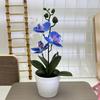 Compact Design Fake Flower Plant Phalaenopsis Bonsai Easy To Style