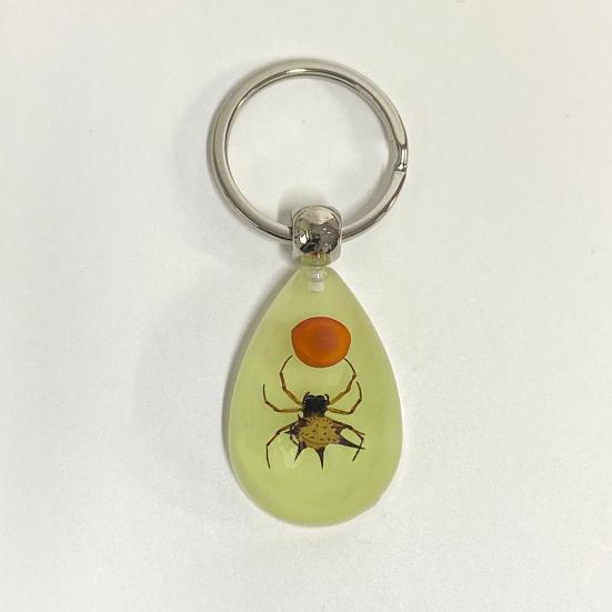 Schlüsselanhänger Anhänger Dekorativ Exquisit Leuchtet im Dunkeln Krebse Ameisen Spinne Skorpion Schlüsselring Anhänger für Männer