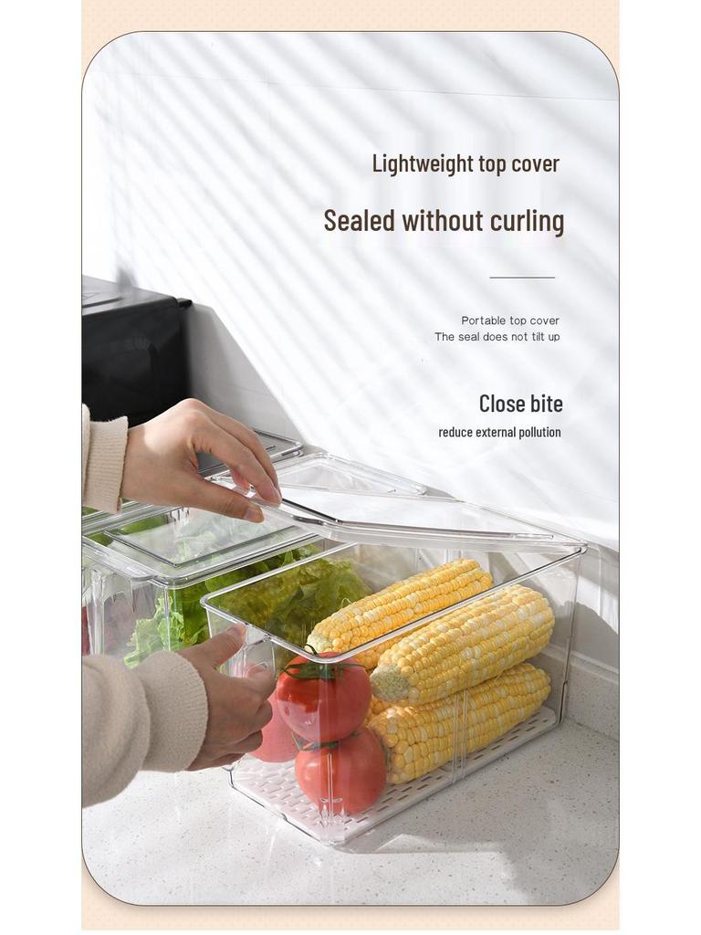 Multipurpose Transparent Fresh-Keeping Storage Box for Melons, Fruits, and Vegetables