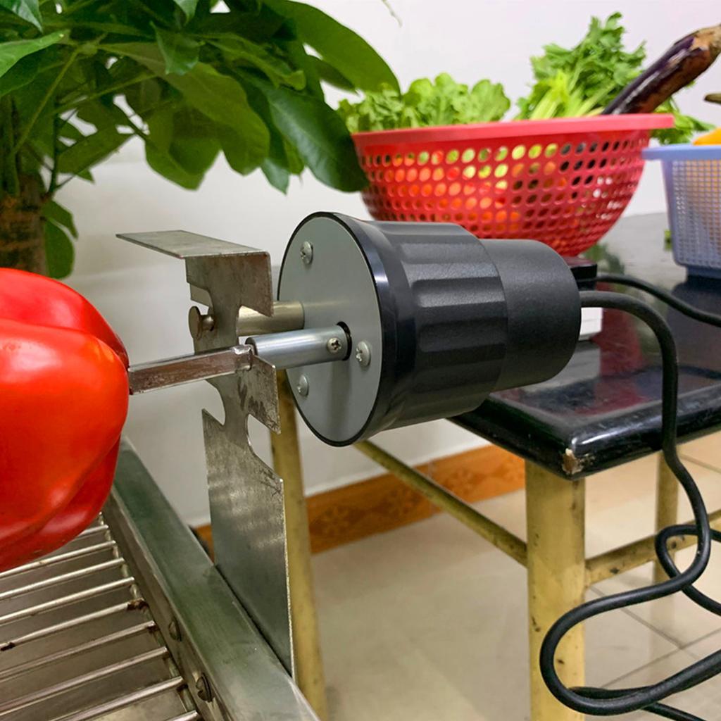 2 U/min 12-poliger AC-Motor Metall-Mikromotor für Elektrogrill 50/60Hz FD801A?2