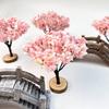 Décoration de la maison – Terrariums décoratifs