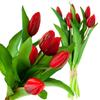 Red Tulipans Rubberized Bouquet Silicone Flowers Artificial Like Live